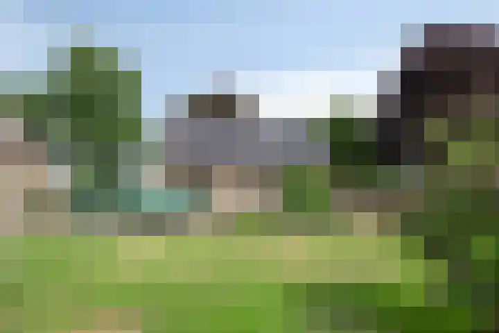 Nieuw Laar 28 Berlicum thumbnail 37