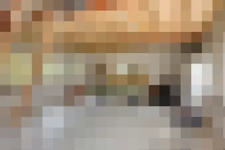 Nieuw Laar 28 Berlicum thumbnail 39