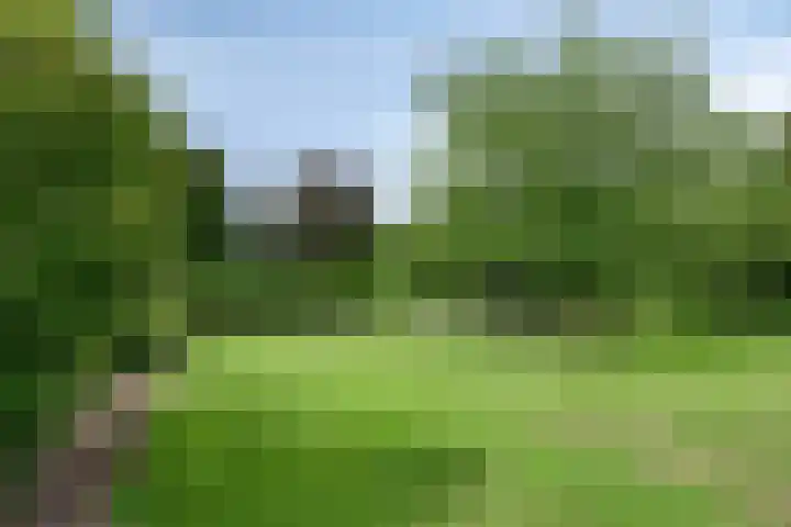Nieuw Laar 28 Berlicum thumbnail 4