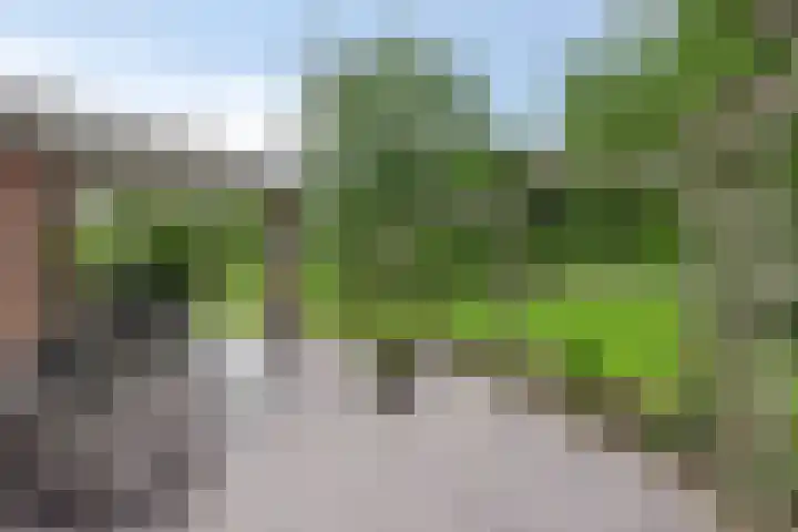 Nieuw Laar 28 Berlicum thumbnail 41