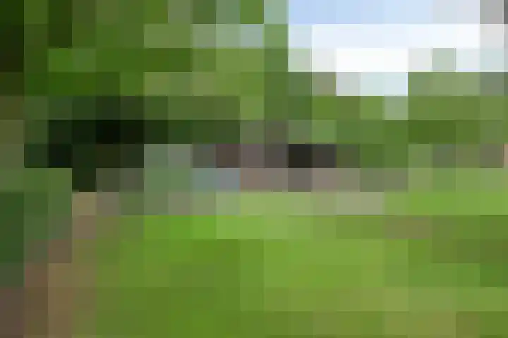 Nieuw Laar 28 Berlicum thumbnail 44