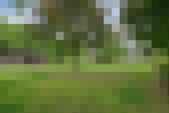 Nieuw Laar 28 Berlicum thumbnail 45