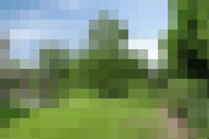 Nieuw Laar 28 Berlicum thumbnail 46