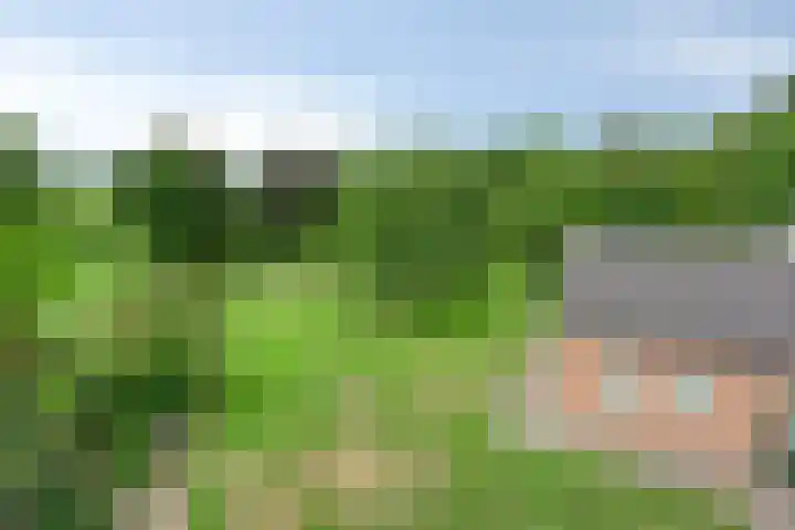 Nieuw Laar 28 Berlicum thumbnail 47