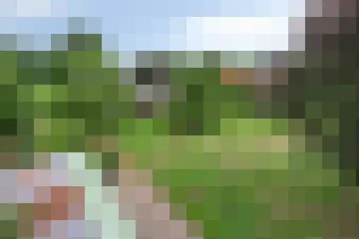 Nieuw Laar 28 Berlicum thumbnail 48