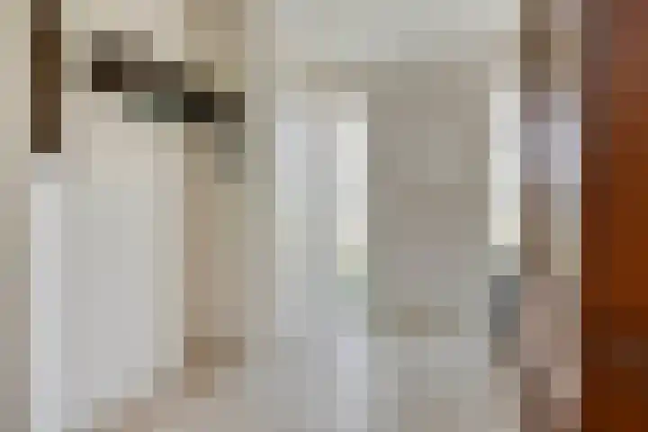 Nieuw Laar 28 Berlicum thumbnail 5
