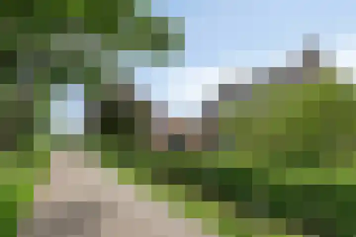 Nieuw Laar 28 Berlicum thumbnail 51