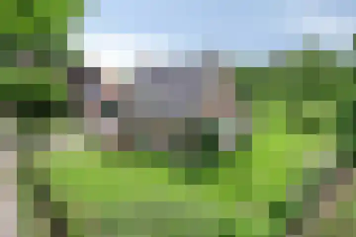 Nieuw Laar 28 Berlicum thumbnail 54
