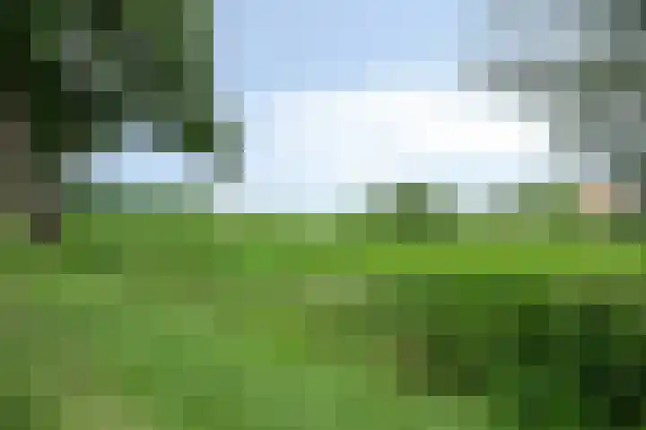 Nieuw Laar 28 Berlicum thumbnail 56