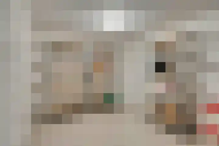 Nieuw Laar 28 Berlicum thumbnail 8