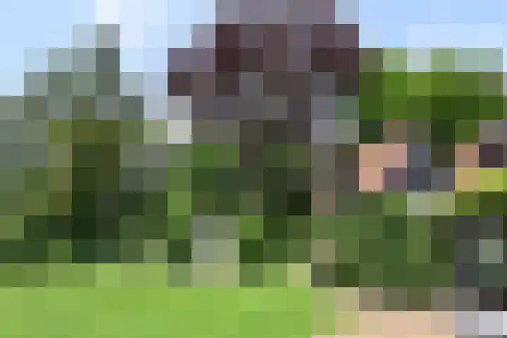 Nieuw-Loosdrechtsedijk 10 Loosdrecht thumbnail 32