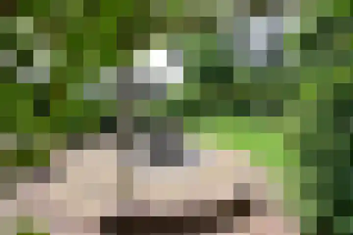 Nieuw-Loosdrechtsedijk 10 Loosdrecht thumbnail 35