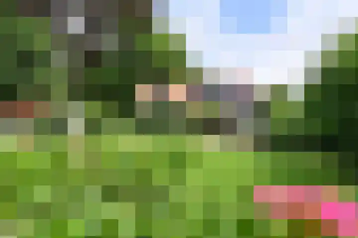 Nieuw-Loosdrechtsedijk 10 Loosdrecht thumbnail 37