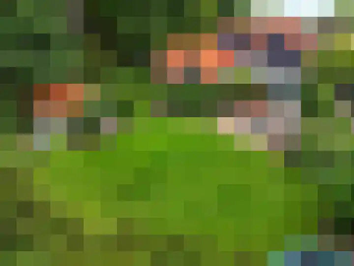 Nieuw-Loosdrechtsedijk 10 Loosdrecht thumbnail 38