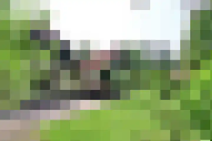 Nieuw-Loosdrechtsedijk 10 Loosdrecht thumbnail 40