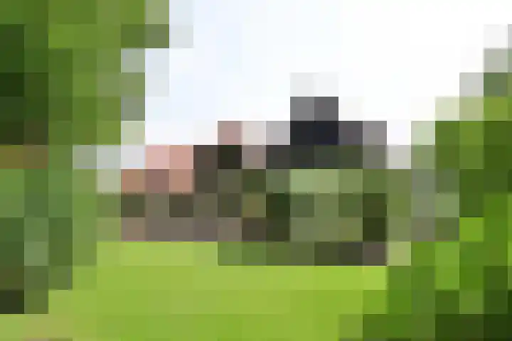 Nieuw-Loosdrechtsedijk 10 Loosdrecht thumbnail 41