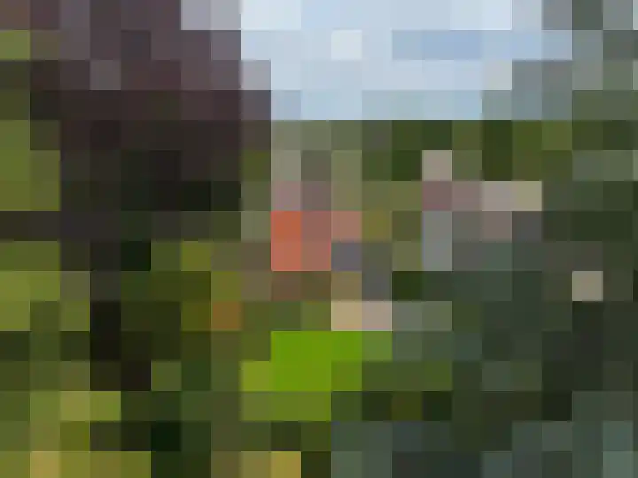 Nieuw-Loosdrechtsedijk 10 Loosdrecht thumbnail 43