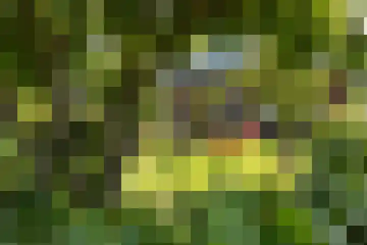 Nieuw-Loosdrechtsedijk 127 Loosdrecht thumbnail 5