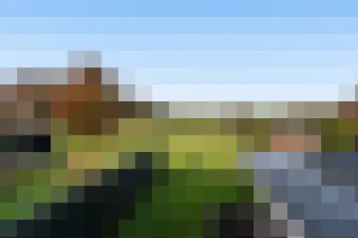 Nieuw-Loosdrechtsedijk 140 Loosdrecht thumbnail 17