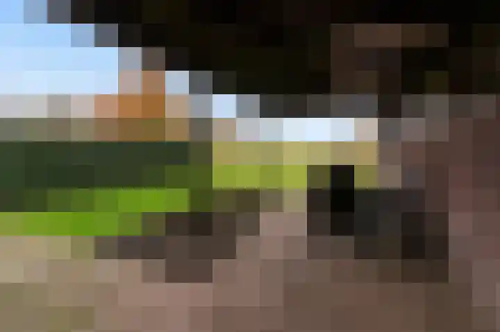 Nieuw-Loosdrechtsedijk 140 Loosdrecht thumbnail 26