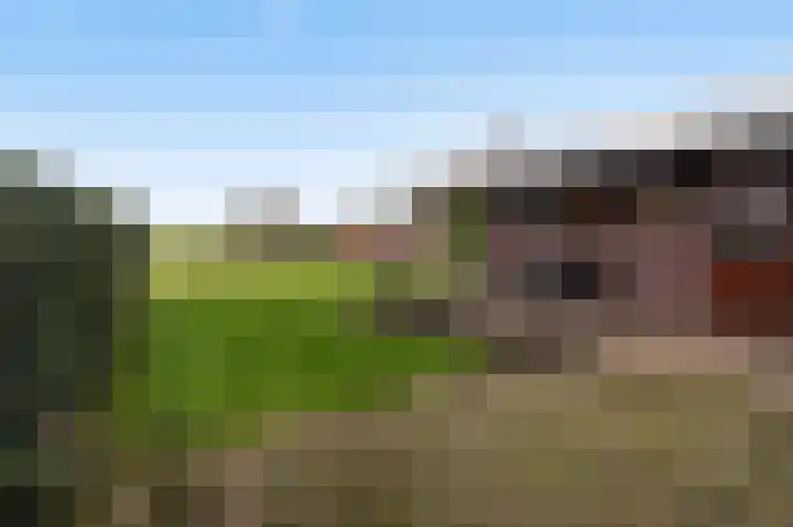 Nieuw-Loosdrechtsedijk 140 Loosdrecht thumbnail 5