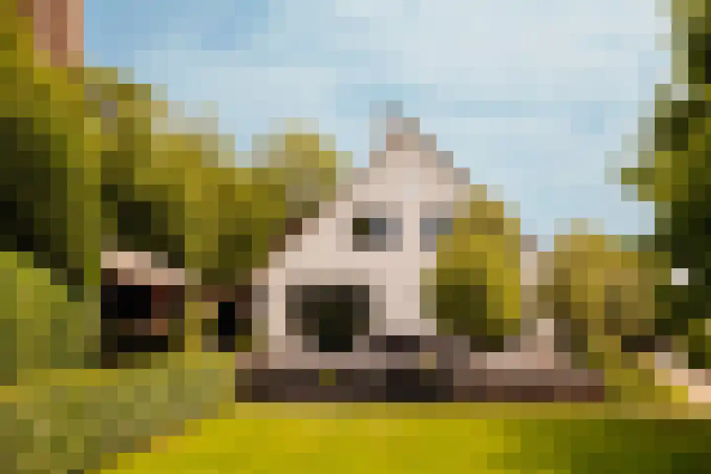 Nieuw-Loosdrechtsedijk 168 Loosdrecht thumbnail 17
