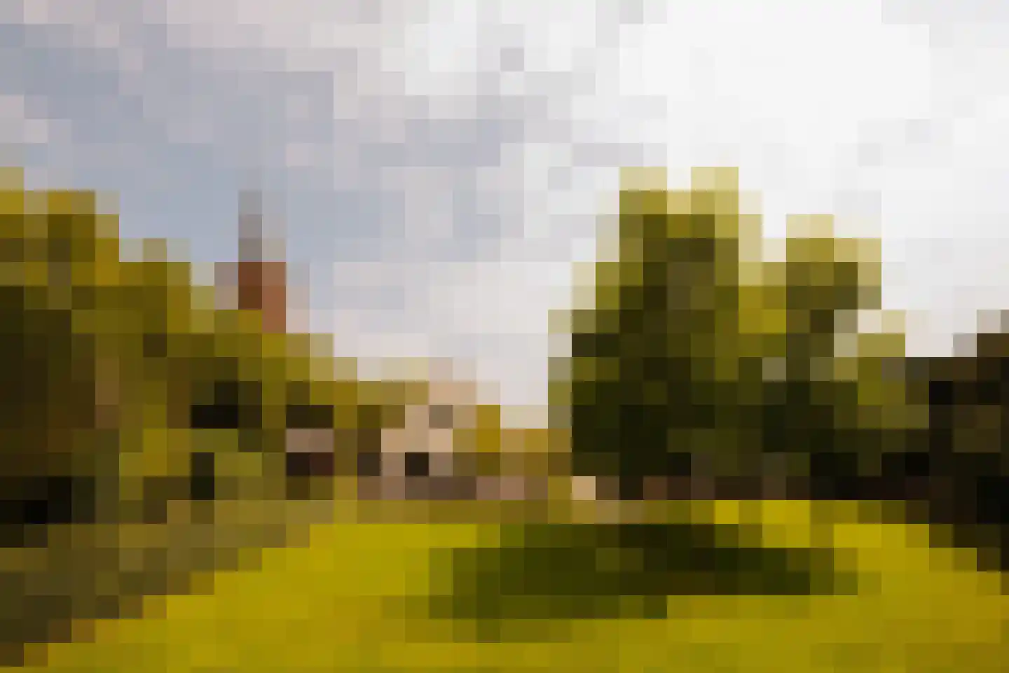 Nieuw-Loosdrechtsedijk 168 Loosdrecht thumbnail 18