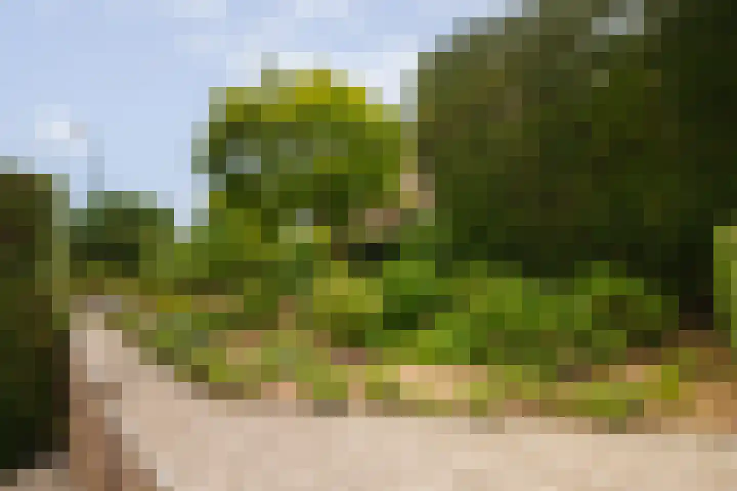 Nieuw-Loosdrechtsedijk 168 Loosdrecht thumbnail 67