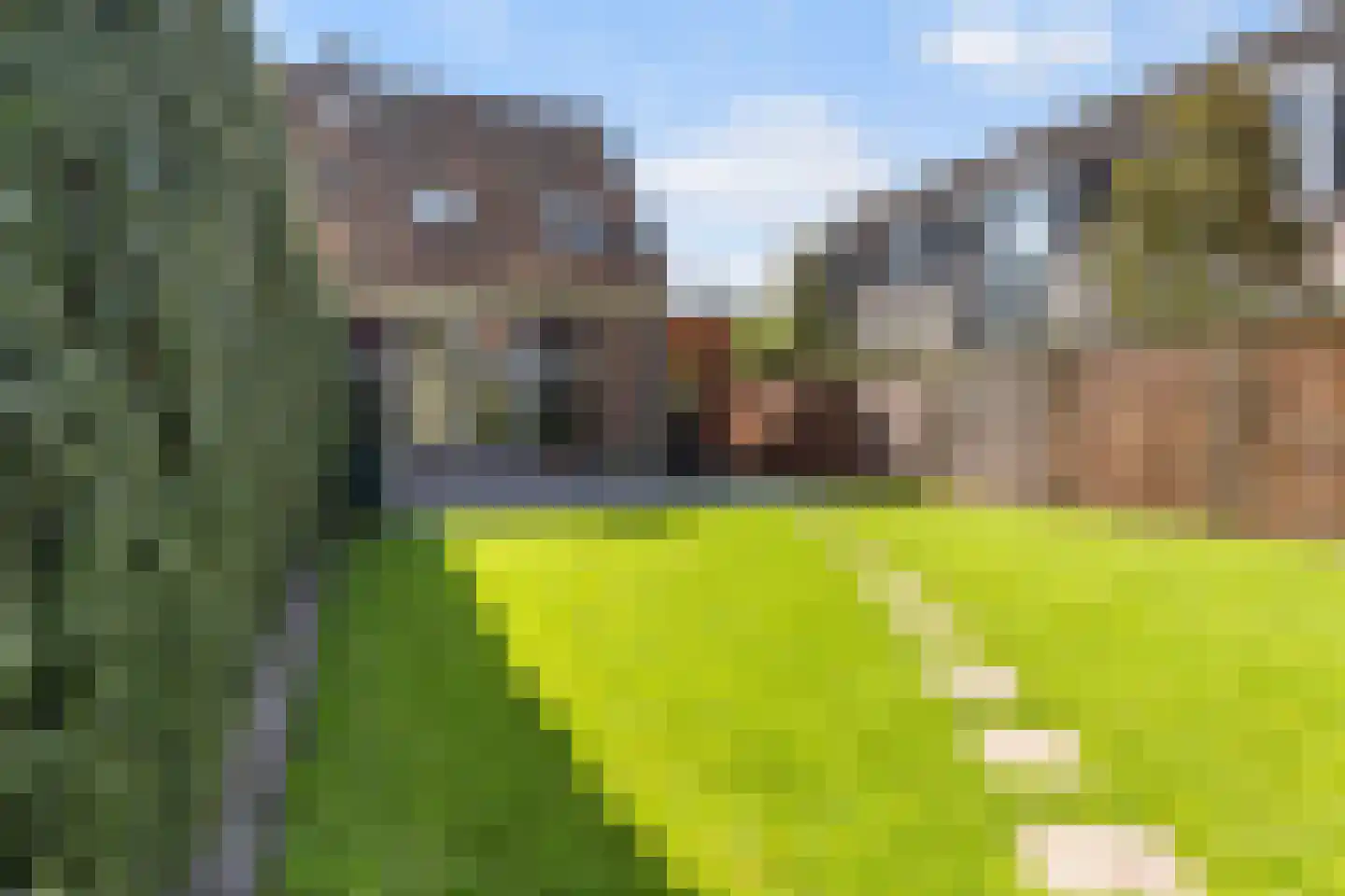 Nieuw-Loosdrechtsedijk 18 Loosdrecht thumbnail 4