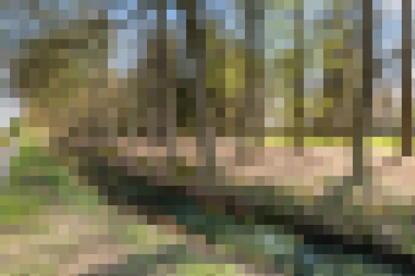 Nieuw-Loosdrechtsedijk 18 Loosdrecht thumbnail 41