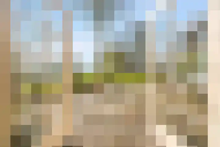 Nieuw-Loosdrechtsedijk 187 Loosdrecht thumbnail 37