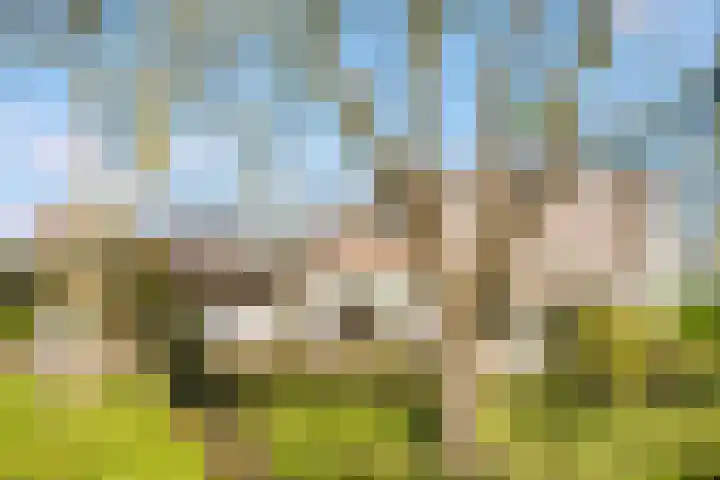 Nieuw-Loosdrechtsedijk 187 Loosdrecht thumbnail 42