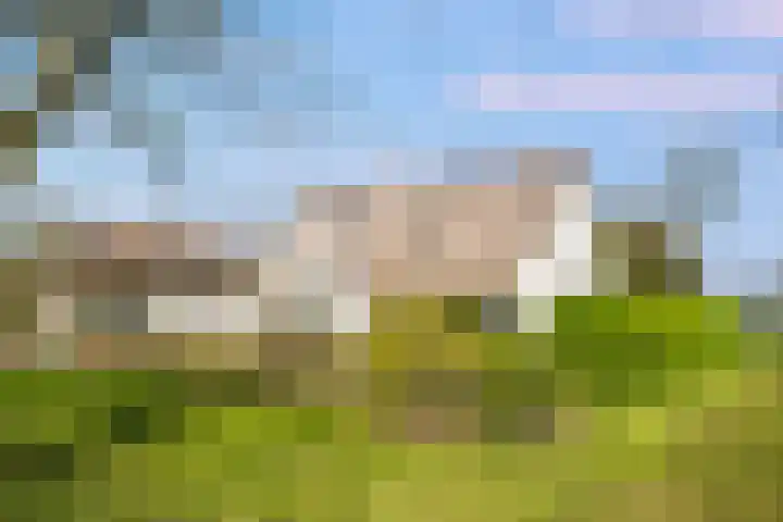 Nieuw-Loosdrechtsedijk 187 Loosdrecht thumbnail 43