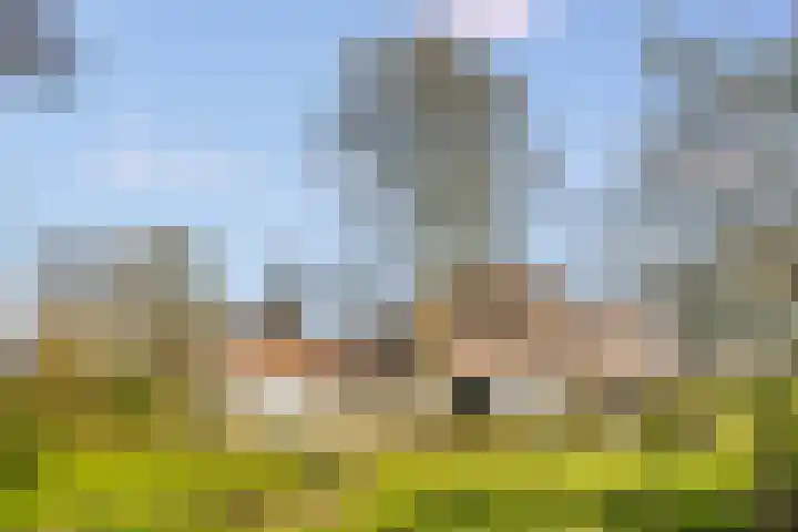 Nieuw-Loosdrechtsedijk 187 Loosdrecht thumbnail 46