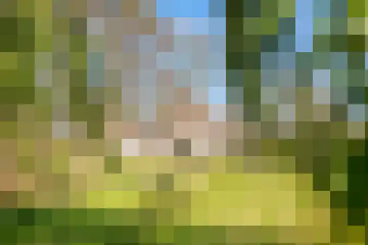 Nieuw-Loosdrechtsedijk 187 Loosdrecht thumbnail 47