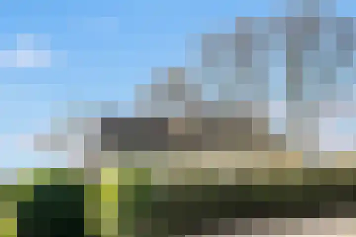 Nieuw-Loosdrechtsedijk 187 Loosdrecht thumbnail 54