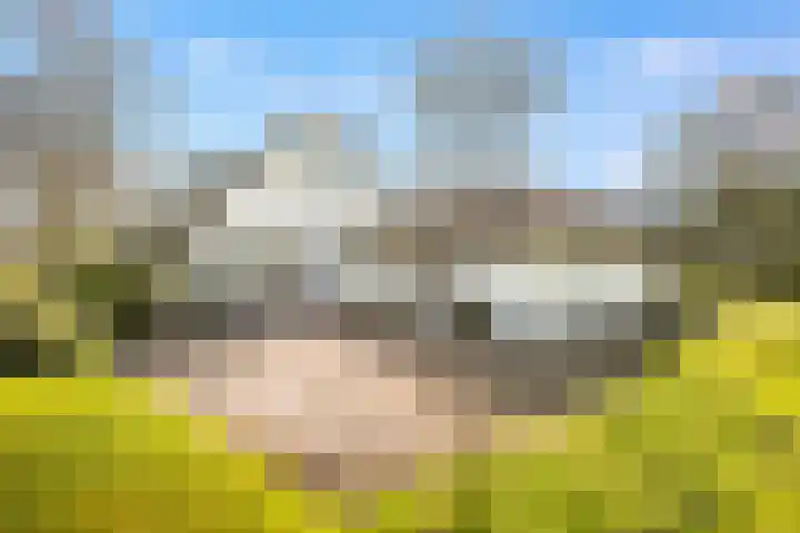 Nieuw-Loosdrechtsedijk 187 Loosdrecht thumbnail 7