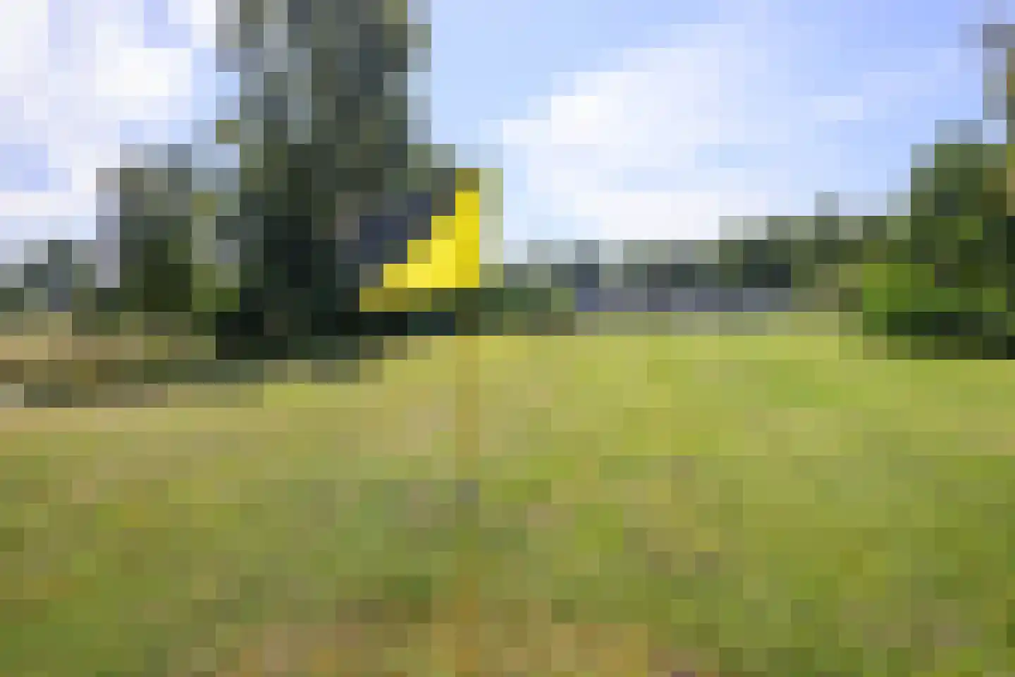 Nieuw-Loosdrechtsedijk 198 a Loosdrecht thumbnail 36