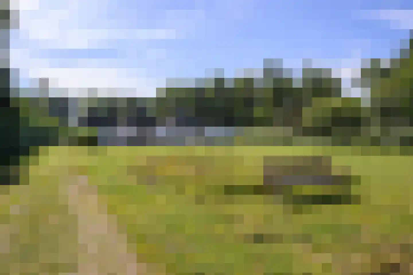 Nieuw-Loosdrechtsedijk 198 a Loosdrecht thumbnail 39