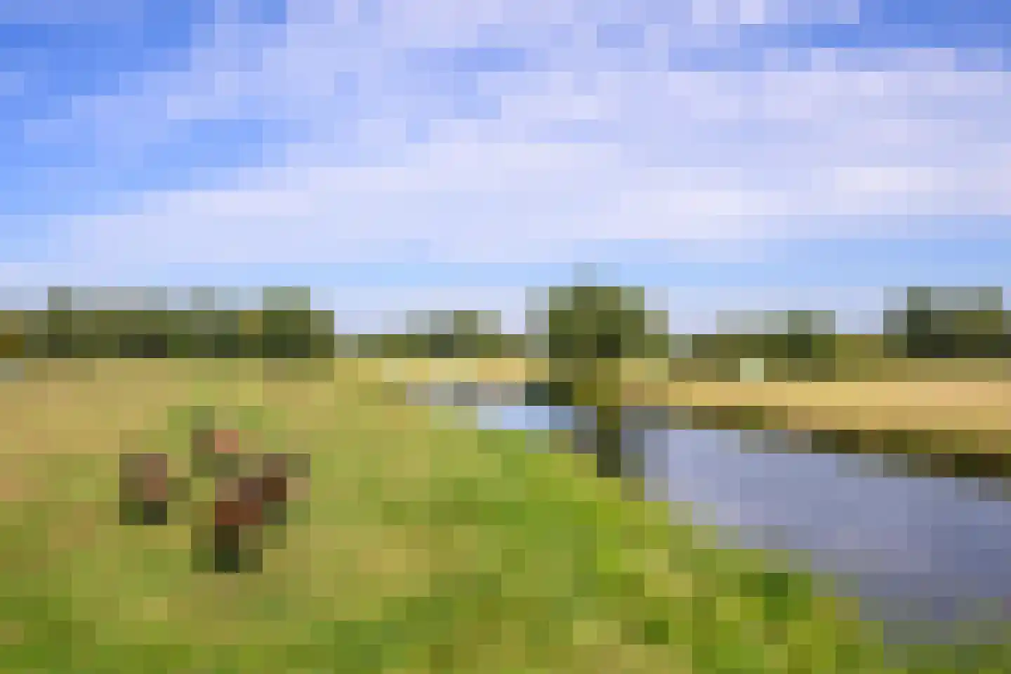 Nieuw-Loosdrechtsedijk 198 a Loosdrecht thumbnail 41