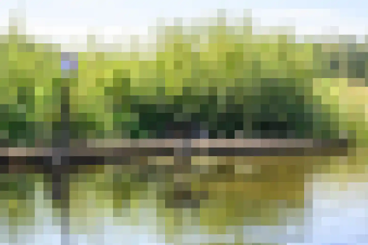Nieuw-Loosdrechtsedijk 198 a Loosdrecht thumbnail 45