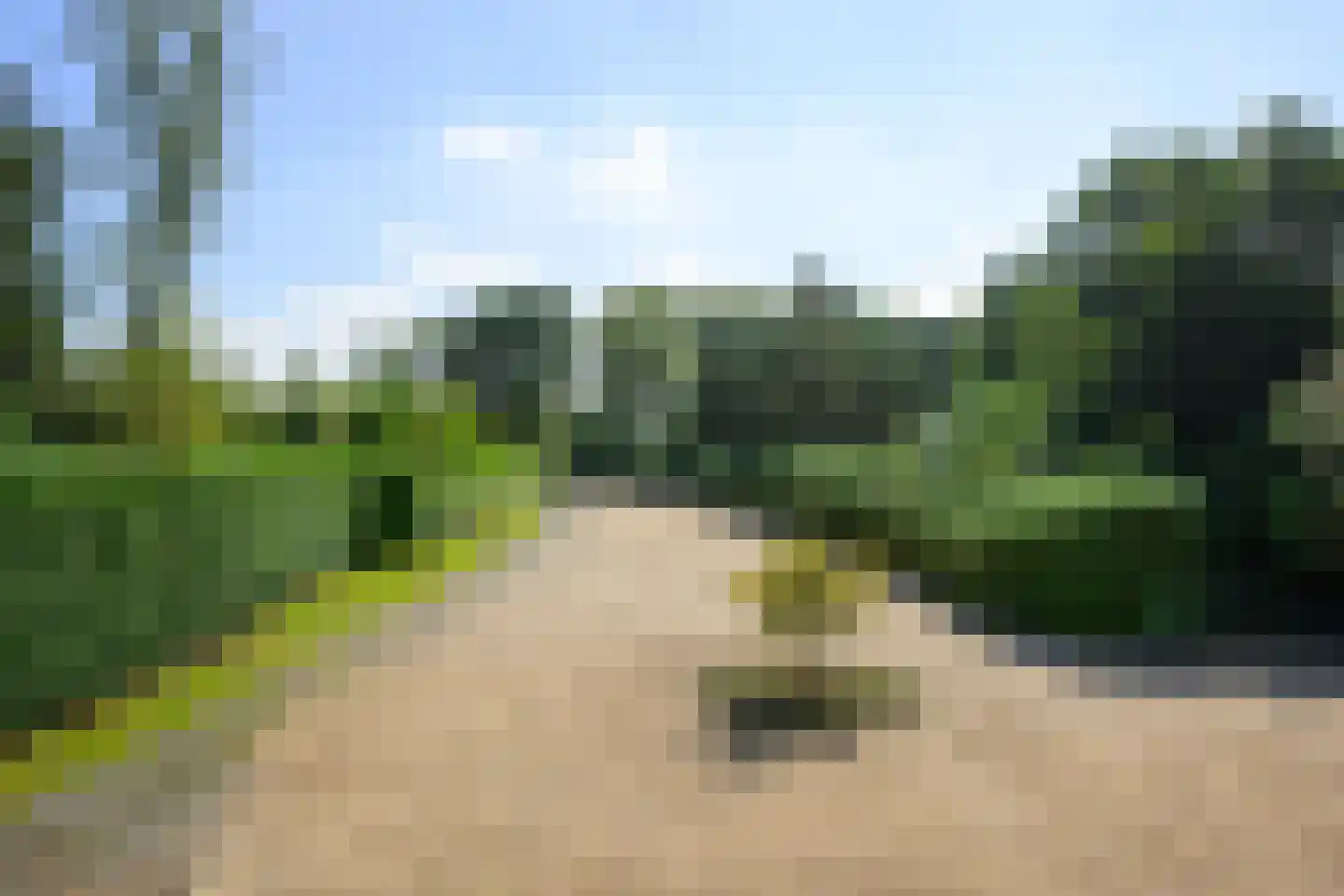 Nieuw-Loosdrechtsedijk 198 a Loosdrecht thumbnail 51