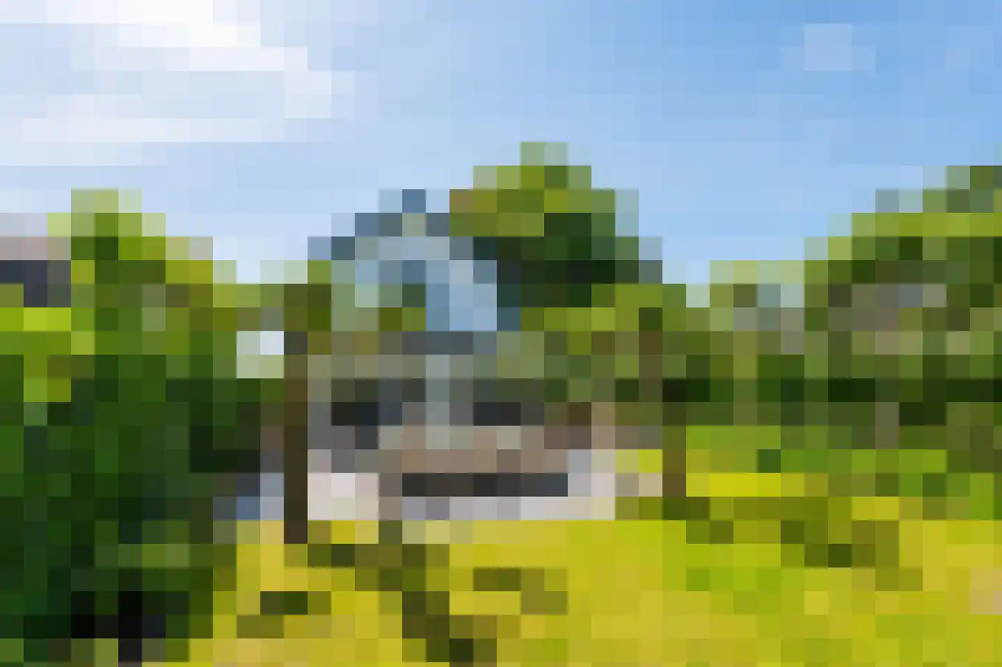 Nieuw-Loosdrechtsedijk 210 b Loosdrecht thumbnail 32