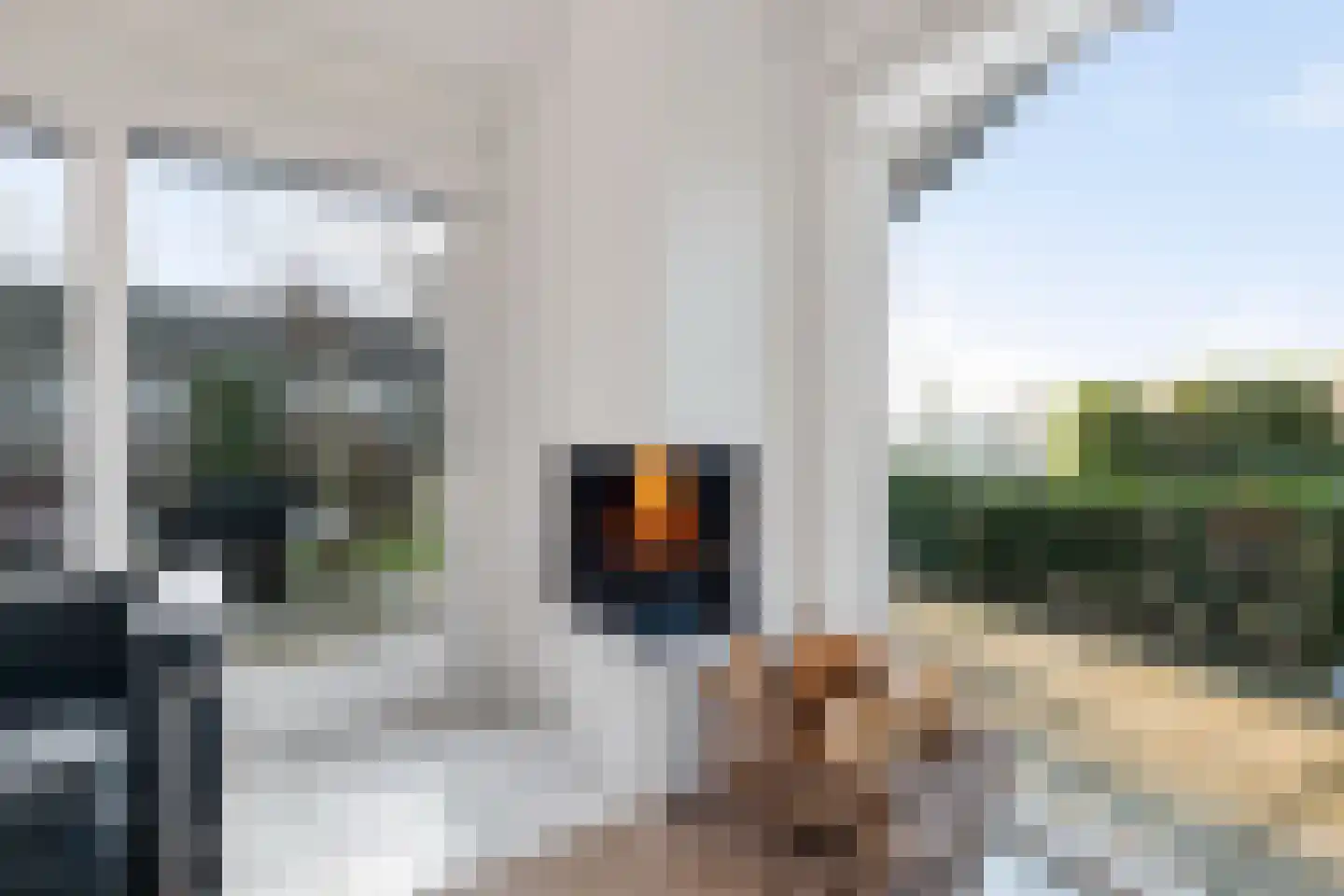 Nieuw-Loosdrechtsedijk 212 b 32 Loosdrecht thumbnail 10
