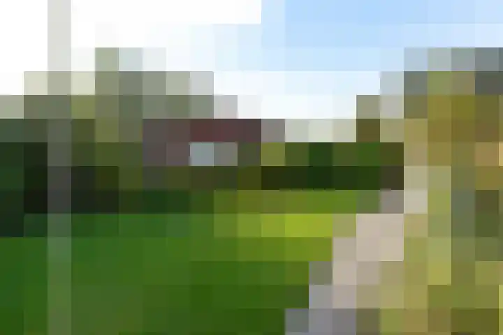 Nieuw-Loosdrechtsedijk 212 c 09 Loosdrecht thumbnail 20
