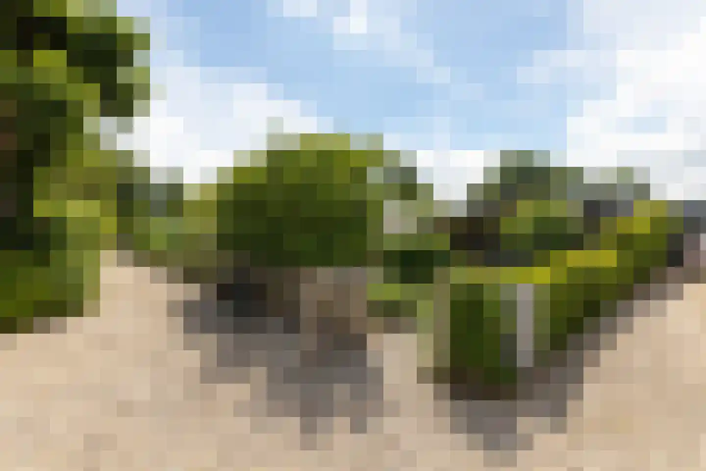 Nieuw-Loosdrechtsedijk 212 c 14 Loosdrecht thumbnail 20