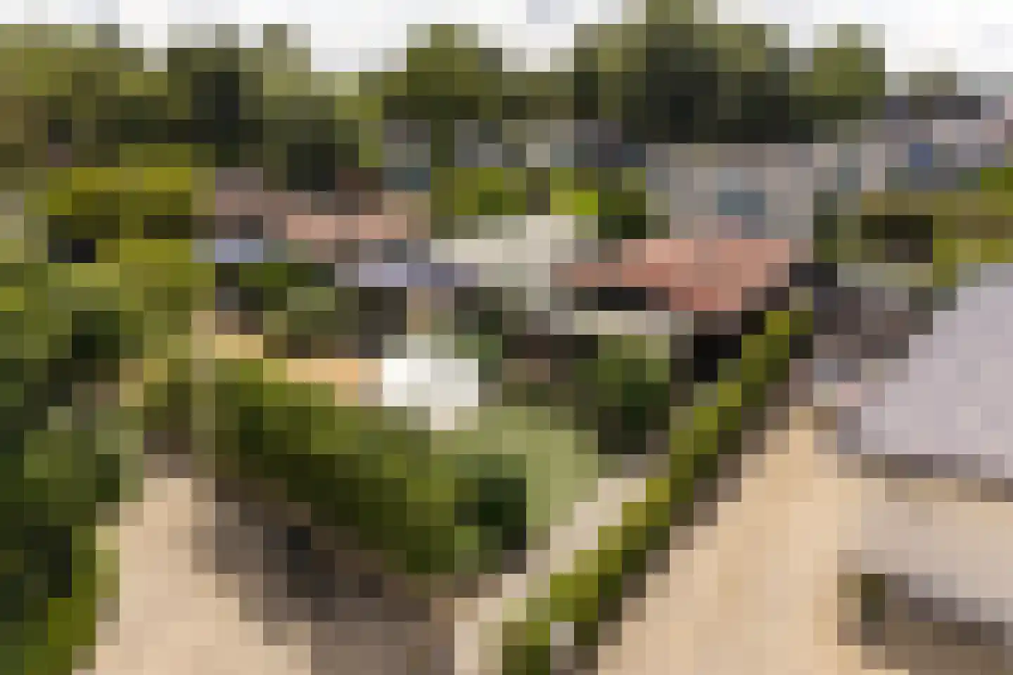 Nieuw-Loosdrechtsedijk 212 c 14 Loosdrecht thumbnail 22
