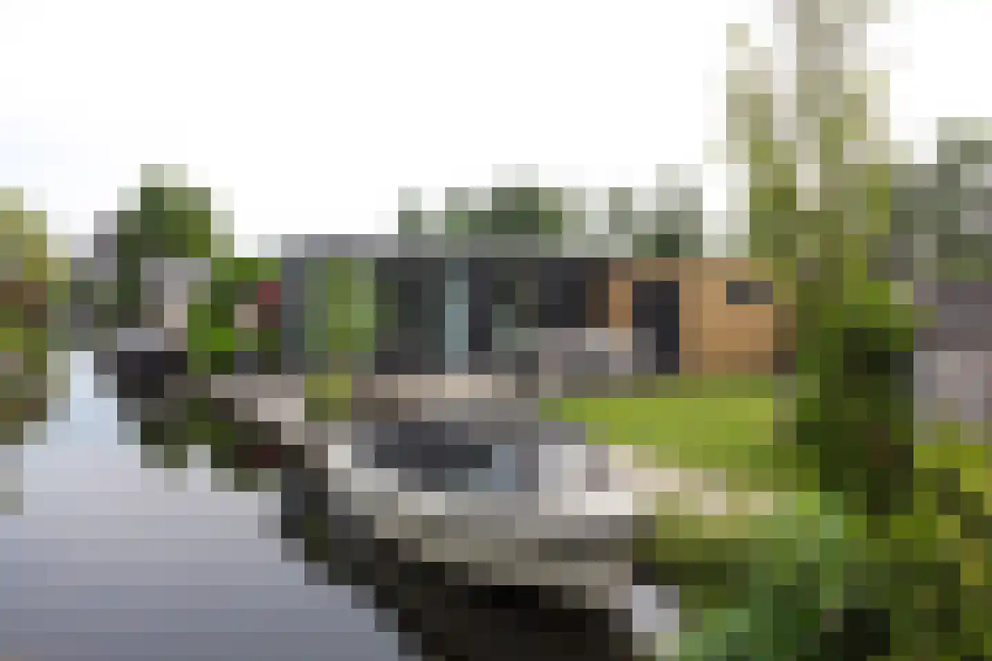 Nieuw-Loosdrechtsedijk 217 c 072 Loosdrecht thumbnail 28