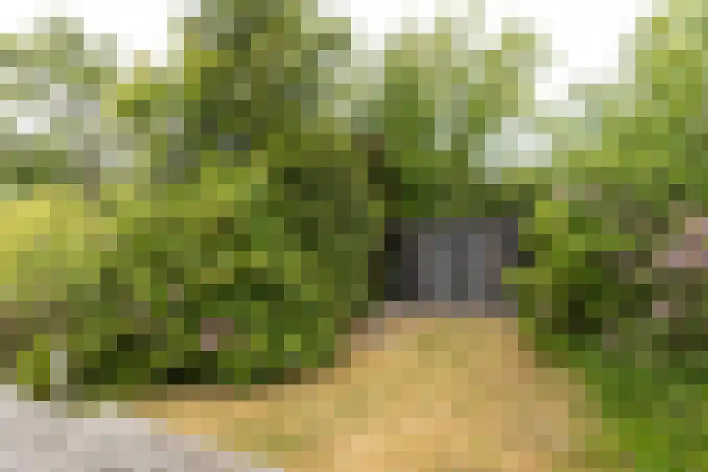 Nieuw-Loosdrechtsedijk 217 c 089 Loosdrecht thumbnail 19