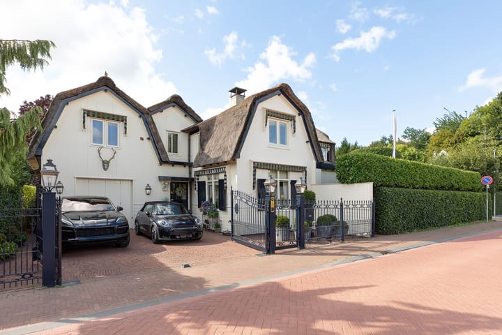 Nieuw-Loosdrechtsedijk 219 dans Loosdrecht photo